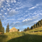 Auf der Alm