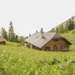 Bei der Pilznerhütte in Niedergaden (c) Weisses Rössl