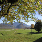 Herbst am Pilznerhof