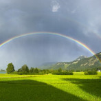 Regenbogen