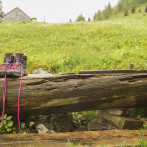 Wanderschuh am Brunnen auf der Alm (c) Weisses Rössl