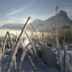 Wintermorgen am See