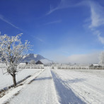 pilznerhof Winterwalk am Seeufer